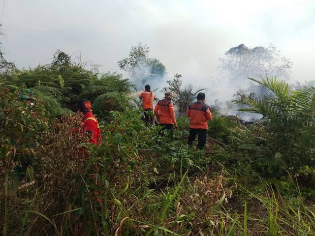 Ilustrasi BMKG Pekanbaru deteksi 18 hotspot di Riau (foto/int)